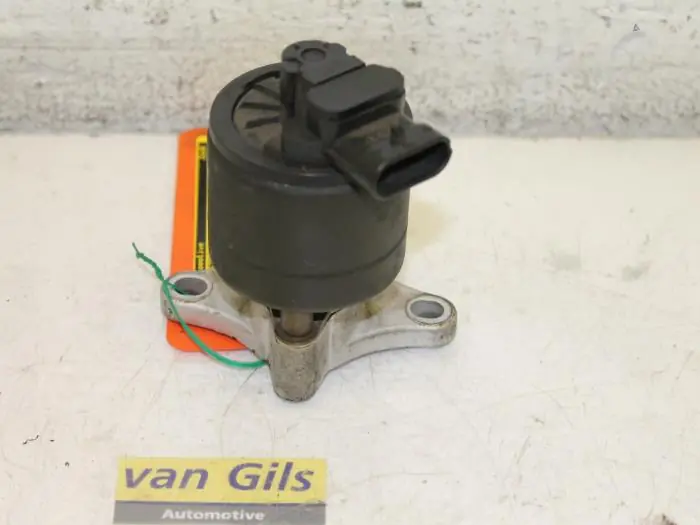 EGR Klep Citroen Picasso O94016 - Lage prijs