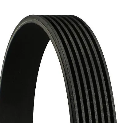 Direct van de fabrikant - CONTITECH - Poly V-riem